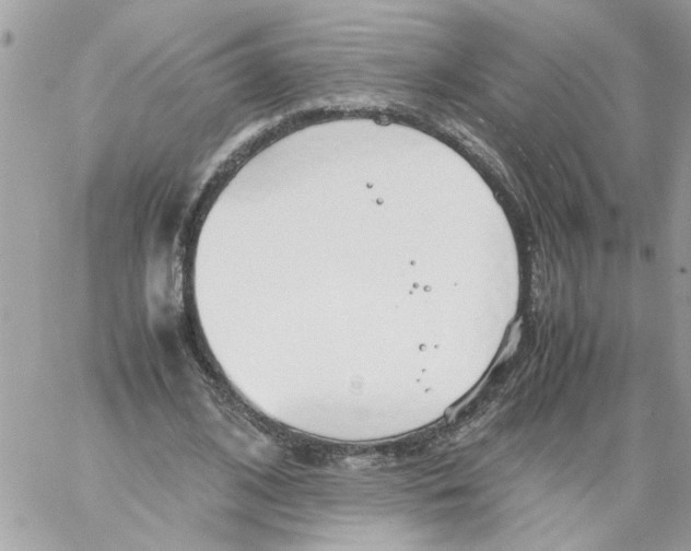 X0000058130584200510212048