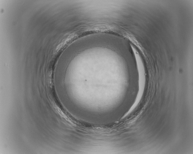 X0000058130585200510212048