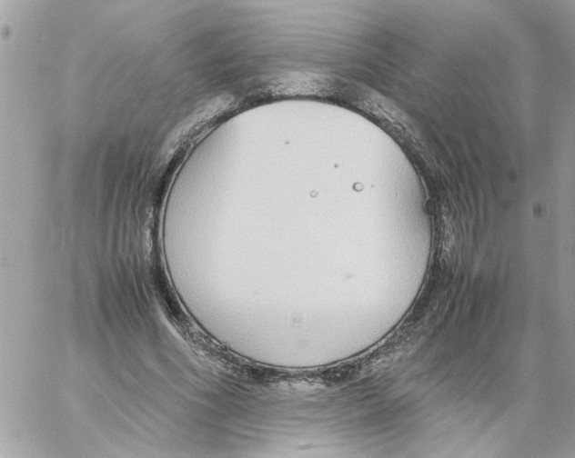 X0000058130586200510212048