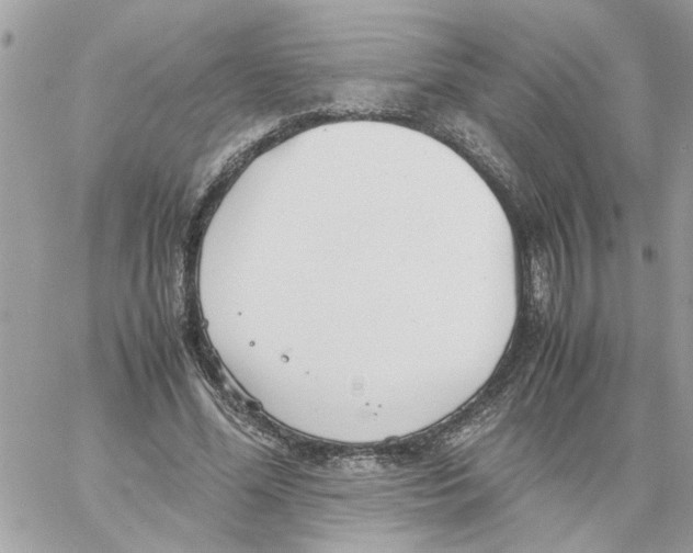 X0000058130588200510212048