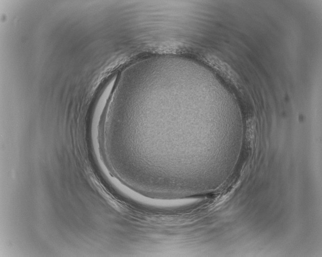 X0000058130589200510212048