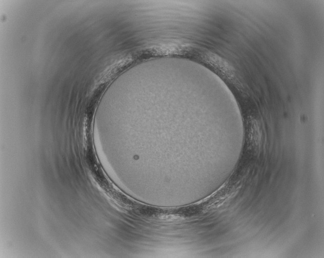 X0000058130590200510212048