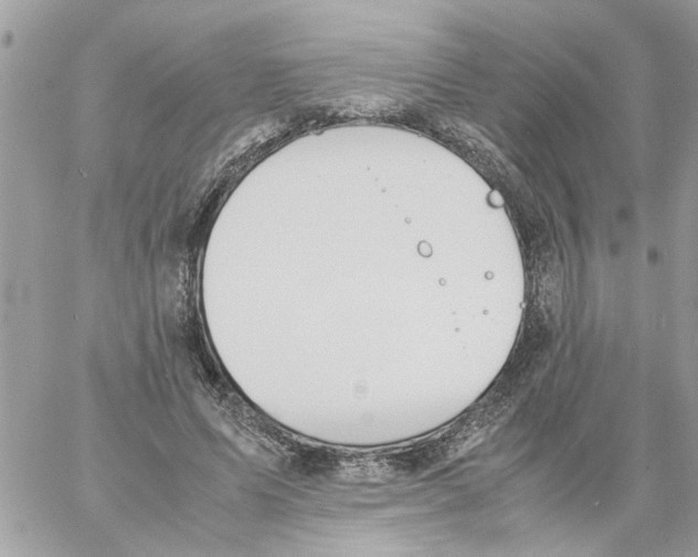 X0000058130591200510212048