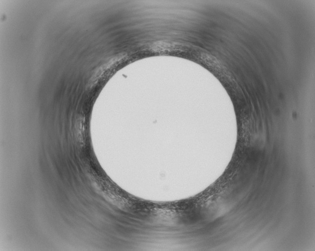 X0000058130592200510212048