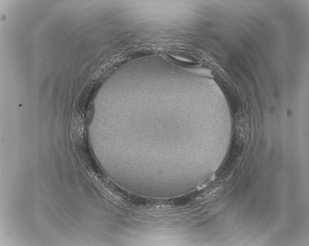 X0000058130593200510212048