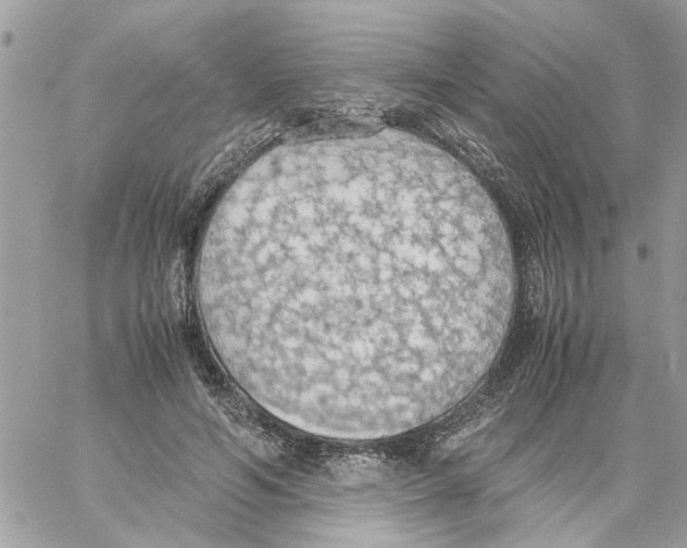 X0000058130594200510212048