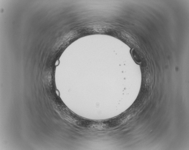 X0000058130595200510212047