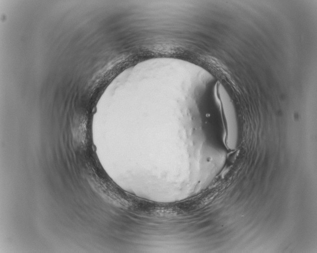 X0000058130596200510212047