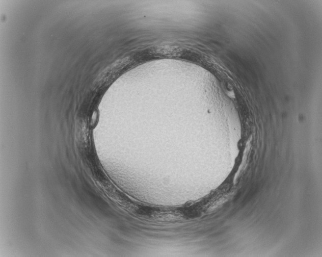 X0000058130597200510212047