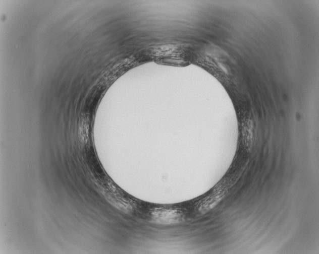 X0000058130602200510212047