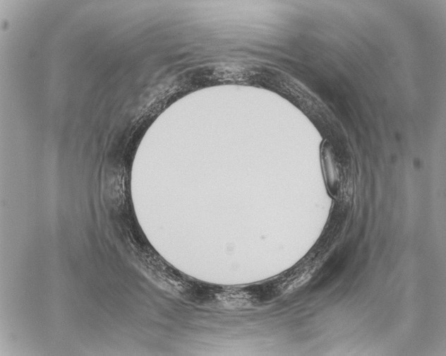 X0000058130603200510212047