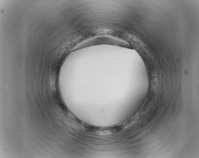 X0000058130604200510212047