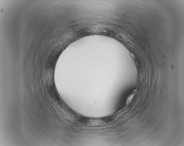 X0000058130605200510212047