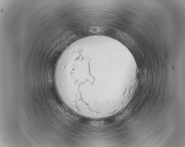 X0000058130606200510212047