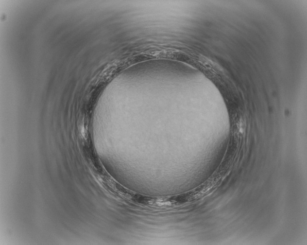 X0000058130607200510212047