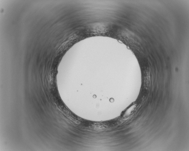 X0000058130608200510212047