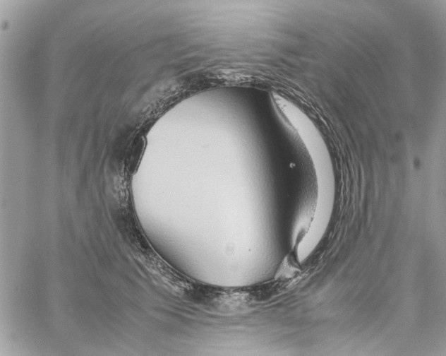 X0000058130609200510212047