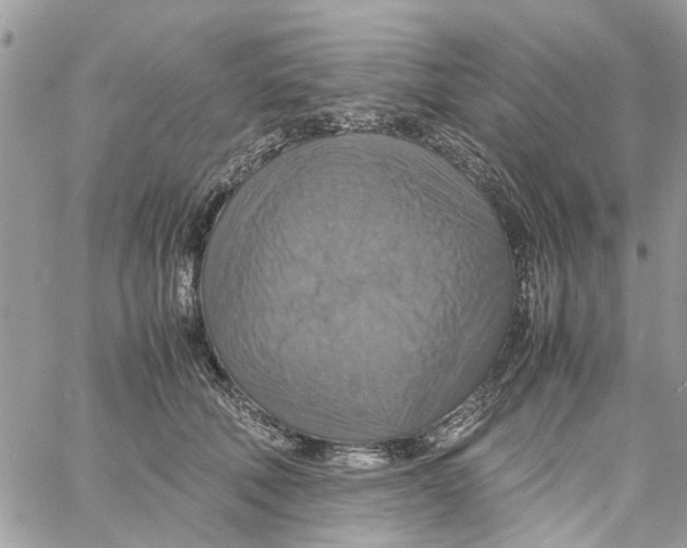 X0000058130610200510212047