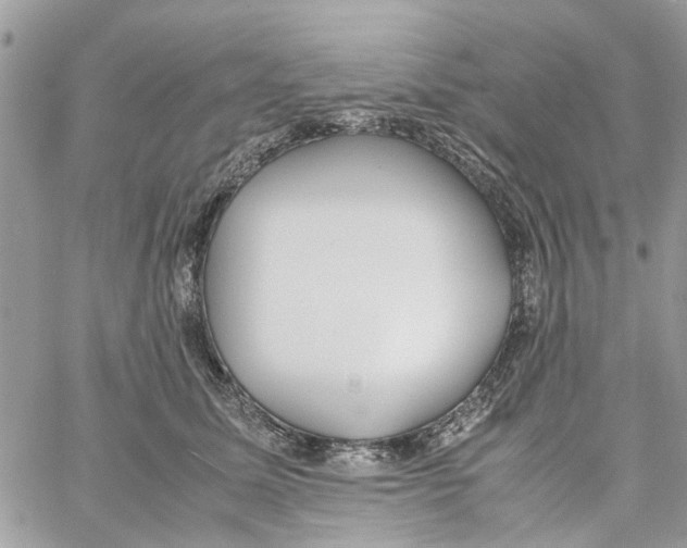 X0000058130611200510212047