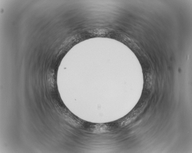 X0000058130612200510212047