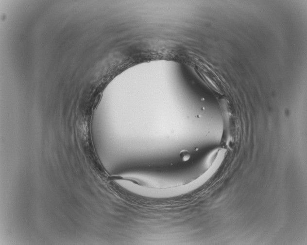 X0000058130613200510212047