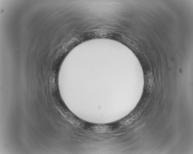 X0000058130615200510212047