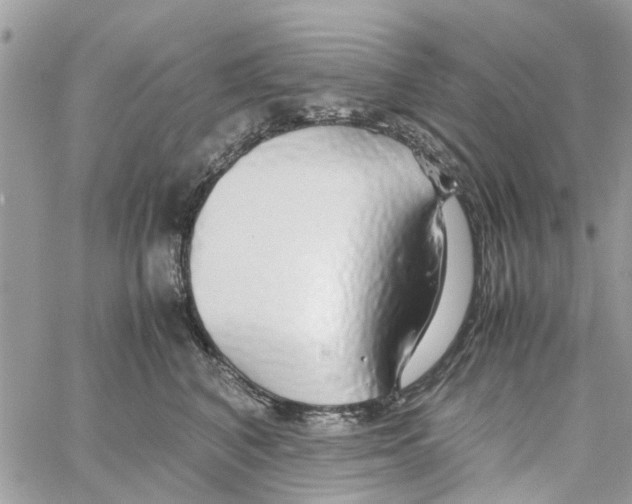 X0000058130616200510212047