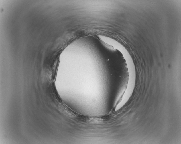 X0000058130617200510212047