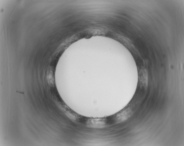 X0000058130622200510212047