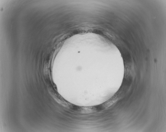 X0000058130623200510212047