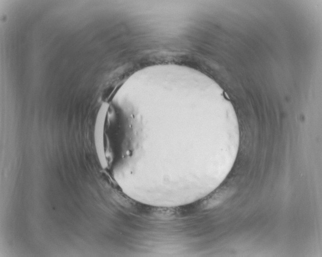 X0000058130624200510212047