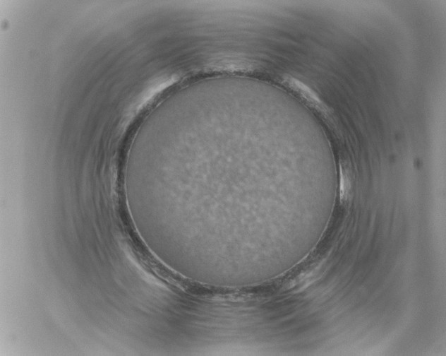 X0000058130627200510212046