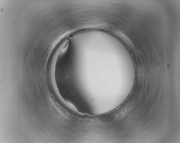 X0000058130628200510212046