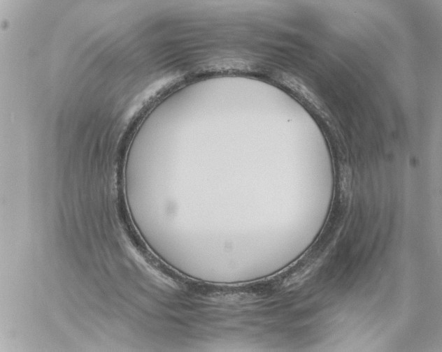 X0000058130629200510212046