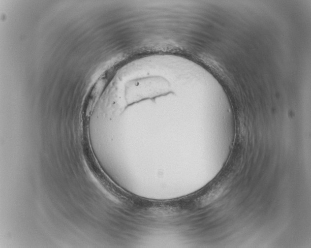 X0000058130630200510212046