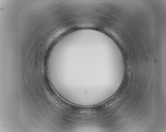 X0000058130631200510212046