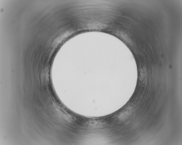 X0000058130632200510212046