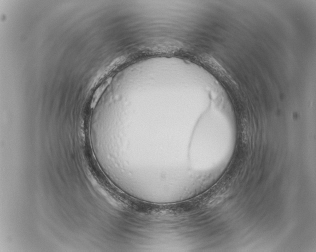 X0000058130634200510212046