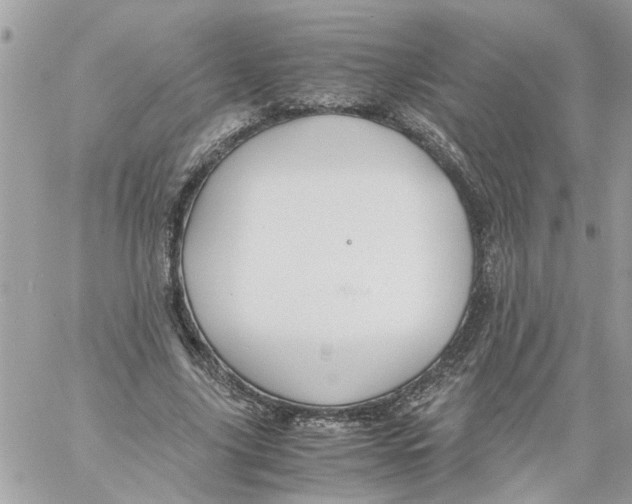 X0000058130635200510212046