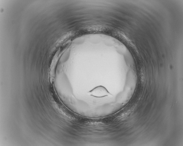 X0000058130637200510212046