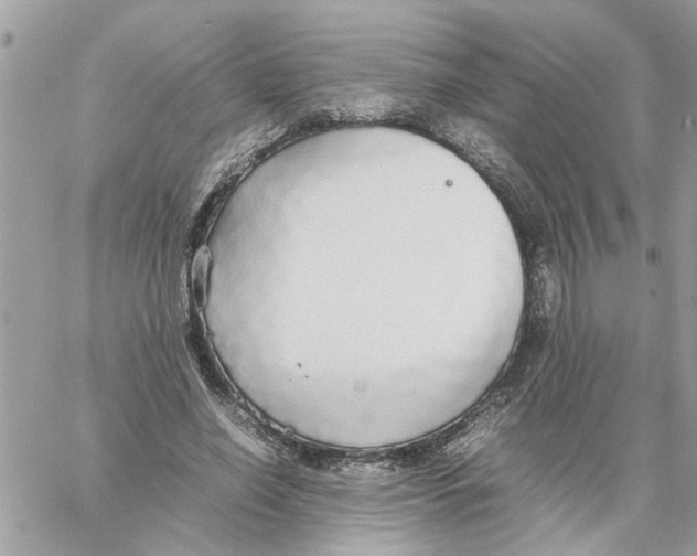 X0000058130638200510212046