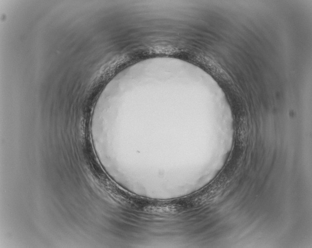 X0000058130639200510212046