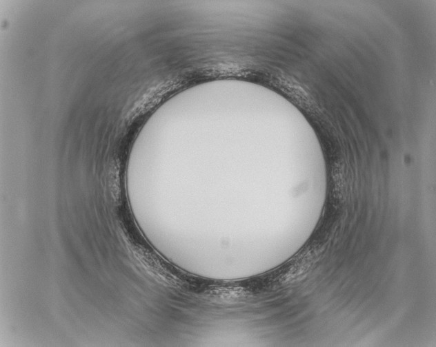 X0000058130642200510212047