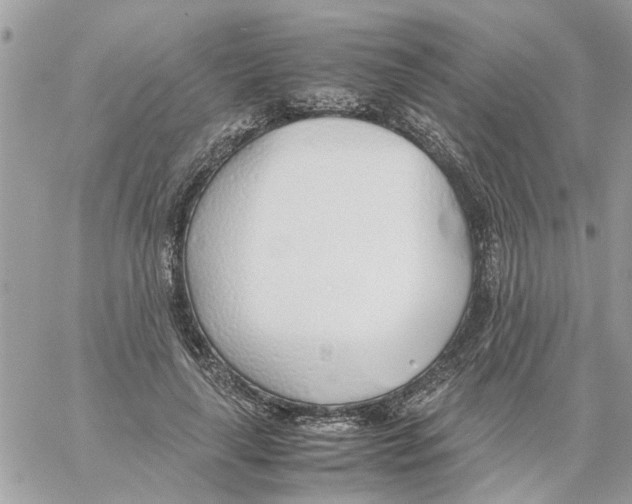 X0000058130643200510212047