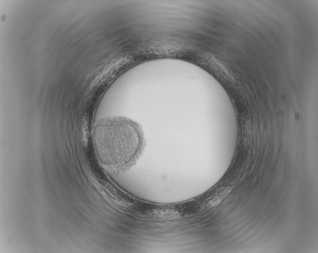 X0000058130644200510212047