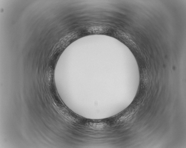 X0000058130645200510212047