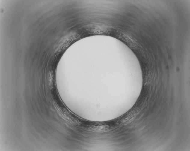 X0000058130646200510212047