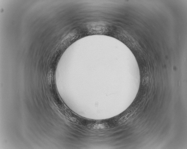 X0000058130647200510212047