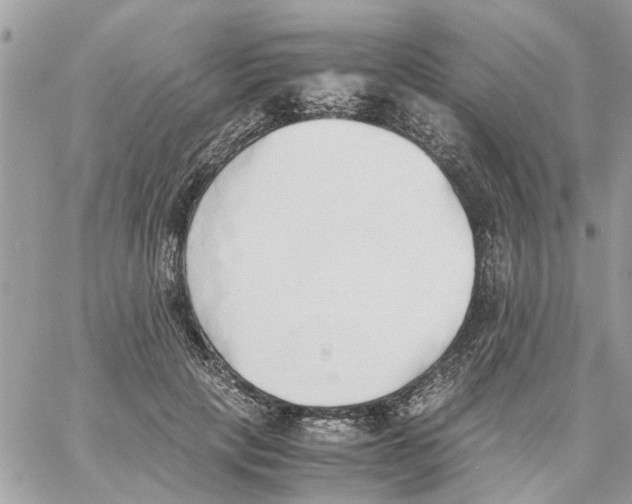 X0000058130649200510212047