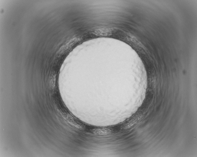 X0000058130652200510212047